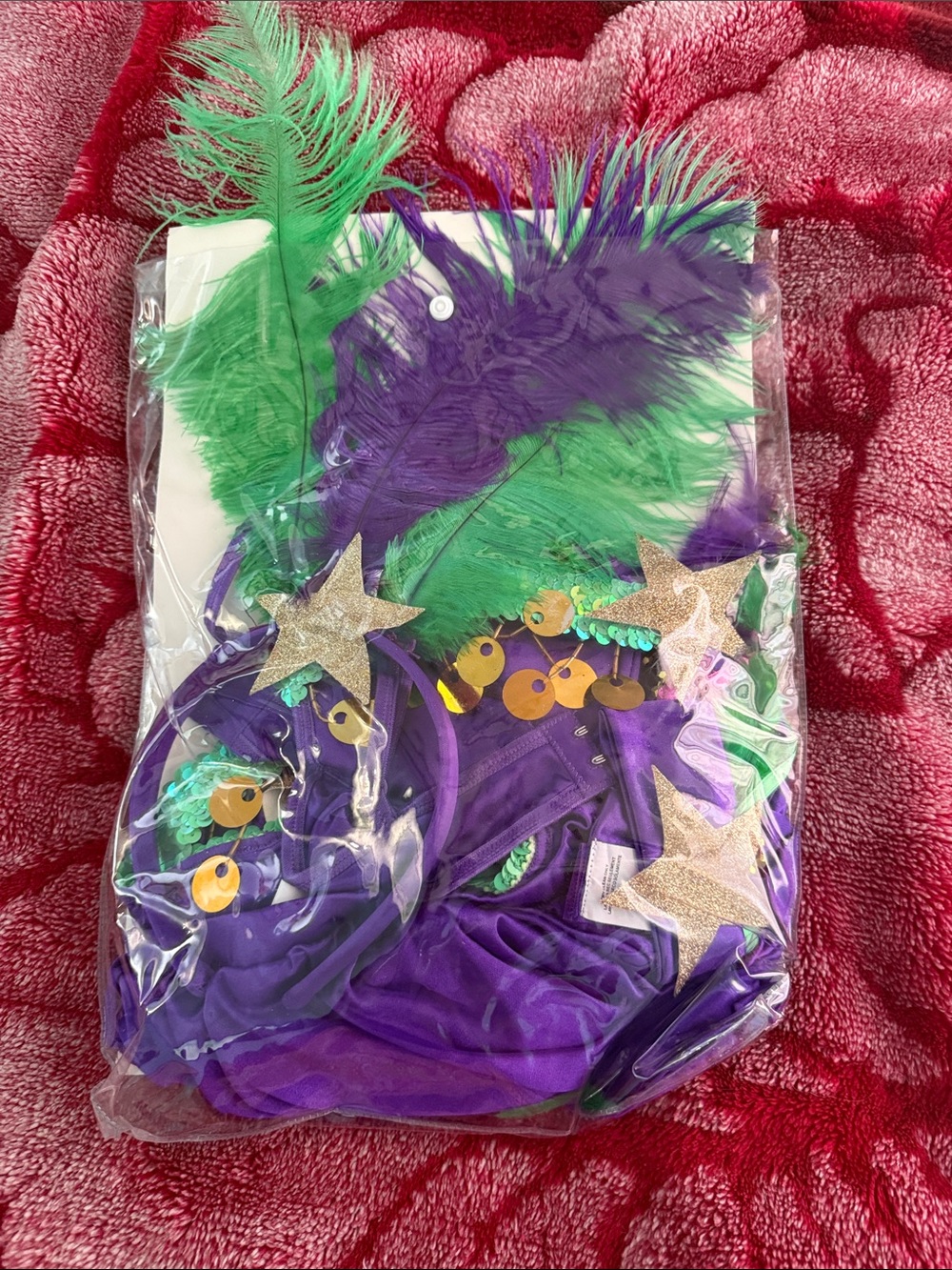 Dreamgirl Purple and Green Feathered Carnival Bikini Set Halloween costume - Picture 2 of 2
